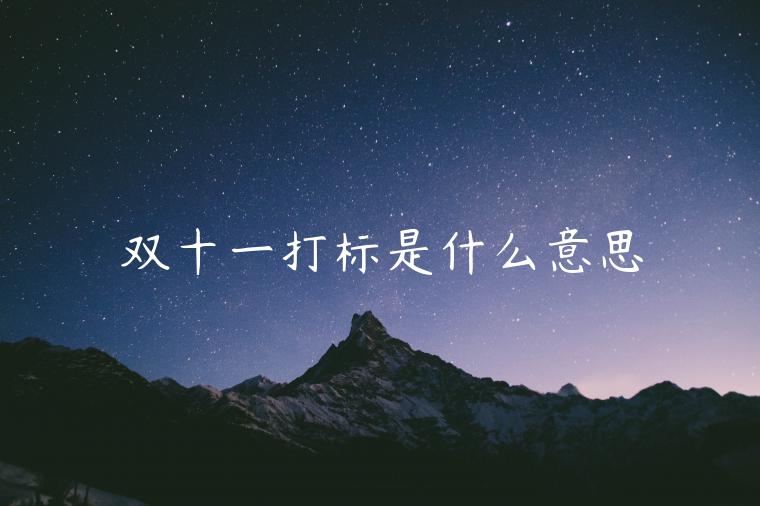 雙十一打標(biāo)是什么意思